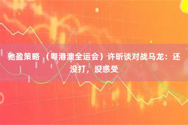 驰盈策略 （粤港澳全运会）许昕谈对战马龙：还没打，没感受