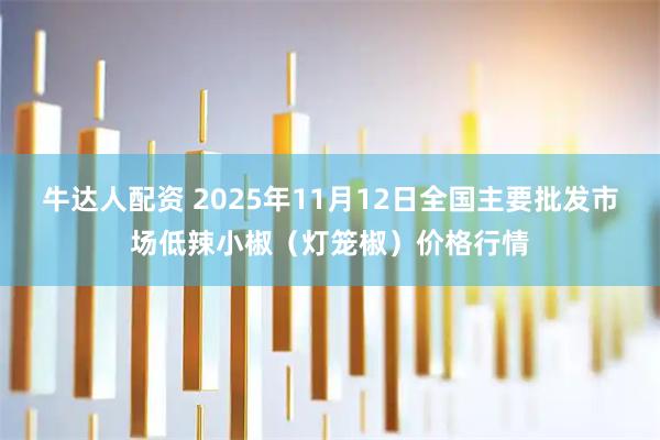 牛达人配资 2025年11月12日全国主要批发市场低辣小椒（灯笼椒）价格行情