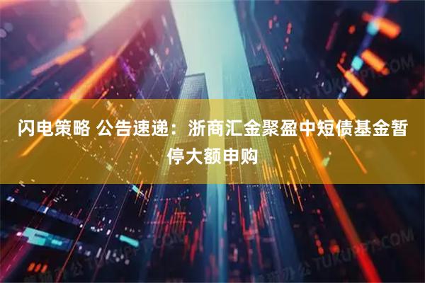 闪电策略 公告速递：浙商汇金聚盈中短债基金暂停大额申购