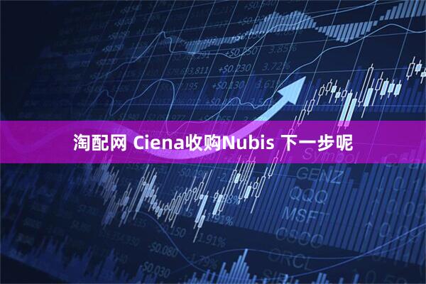 淘配网 Ciena收购Nubis 下一步呢